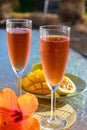 Two glasses of rose bubbles champagne or cava wine served outside on paradise island with palms and green grass