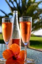 Two glasses of rose bubbles champagne or cava wine served outside on paradise island with palms and green grass