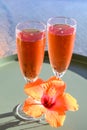 Two glasses of rose bubbles champagne or cava wine served outside