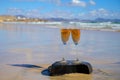 Tasting of brut champagne sparkling wine with view on hilly pinot noir gran cru vineyards of famous champagne houses near Ay and Royalty Free Stock Photo