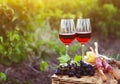 Two glasses of rose wine with bread, meat, grape and cheese Royalty Free Stock Photo