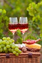 Two glasses of rose wine with meat, grape, bread and cheese on t Royalty Free Stock Photo