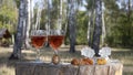 Two glasses of sparkling rose wine, an amber pendant, pieces of Baltic amber on the tree stump.