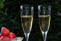 Two glasses with sparkling wine Royalty Free Stock Photo