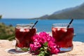 Two glasses of summer red cocktail with ice and a sprig of Bougainvillea flowers between on the seascape background Royalty Free Stock Photo