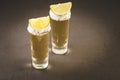 two glasses of tequila and pieces of lime /two glasses of tequila and pieces of lime on a dark stone background. Selective focus Royalty Free Stock Photo