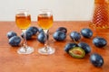 Two glasses of traditional bulgarian home made fruit brandy called slivova rakia or slivovica, half sliced and whole plums on a