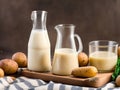 Two glasses of vegan milk served with potato milk substitute, newly harvested potatoes, and sackcloth.