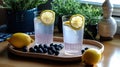 two glasses of water with blueberries and lemons Royalty Free Stock Photo