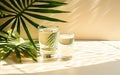 Two glasses of water, palms leaves. Long shadows. Beige table background in sunlight. Blank business, greeting card, invitation Royalty Free Stock Photo