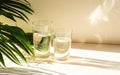 Two glasses of water, palms leaves. Long shadows. Beige table background in sunlight. Blank business, greeting card, invitation Royalty Free Stock Photo