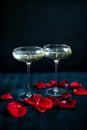 Two glasses with white champagne and petals of red roses on the black background Royalty Free Stock Photo