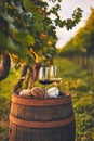 Two glasses of white and red wine with bread and cheese Royalty Free Stock Photo