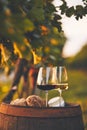 Two glasses of white and red wine Royalty Free Stock Photo