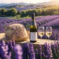 Two glasses with white wine and bottle on a lavender field are paraphrased. Royalty Free Stock Photo