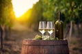 White wine with a bottle on a wooden barrel in a vineyard Royalty Free Stock Photo