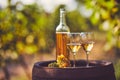 Two glasses of white wine with a bottle on a wooden barrel Royalty Free Stock Photo