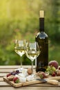 Two glasses of white wine, cheese, fruits. Romantic outdoor dinner in a garden