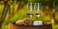 Two glasses of white wine on an old barrel in the vineyard Royalty Free Stock Photo