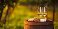 Two glasses of white wine in the vineyard with space for text Royalty Free Stock Photo