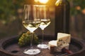 Two glasses of white wine on the old wooden barrel outdoors Royalty Free Stock Photo