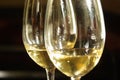 Two glasses of white wine Royalty Free Stock Photo