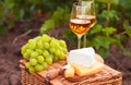 Two glasses white wine, various sorts of cheese and grapes on th Royalty Free Stock Photo