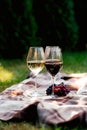 Two glasses of wine, picnic theme Royalty Free Stock Photo