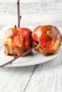 Two glazed the ripe apples Royalty Free Stock Photo