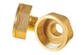 Two glossy brass fittings golden color with thread for connecting different diameter pipeline for oil, petrol, gas