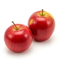 Two glossy red apples with stems positioned on a white background Royalty Free Stock Photo
