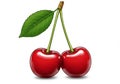 Two glossy red cherries are connected by green stems with a Royalty Free Stock Photo
