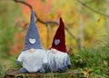 Cute gnomes in autumn forest