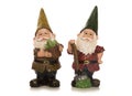 Two gnomes isolated on a white background