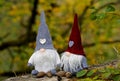 Cute gnomes and some pine cones in colourful autumn forest