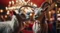 Two Majestic White Goats with Festive Ornaments, Gazing at Each Other in a Bokeh Christmas Setting Royalty Free Stock Photo