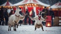 Two playful goats in Christmas costumes dance in the snow. Royalty Free Stock Photo