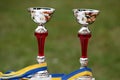 Two goblets