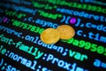 Two gold bitcoin coins on the background of lines of program code Royalty Free Stock Photo