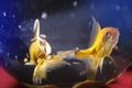 Two gold fish blurred background