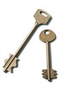 Two gold keys on a white background