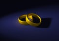 Two gold rings Royalty Free Stock Photo