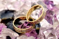 Two gold rings Royalty Free Stock Photo