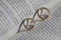 Two gold rings Royalty Free Stock Photo