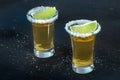 Two gold tequila shots, with salt rims and lime slices, on black Royalty Free Stock Photo