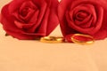 Two gold wedding bands and red roses Royalty Free Stock Photo