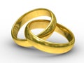 Two gold wedding rings Royalty Free Stock Photo