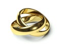 Two gold wedding rings. Royalty Free Stock Photo