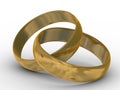 Two gold wedding rings. Royalty Free Stock Photo