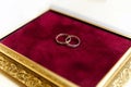 two gold wedding rings against a red velvet background Royalty Free Stock Photo